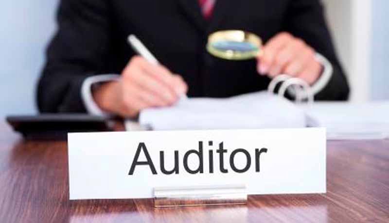 Auditor ICAI