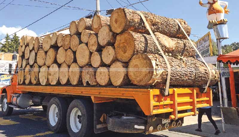 Service Tax - Transporter of Firewood as Carting Challan - Consignment Note - CESTAT - Taxscan